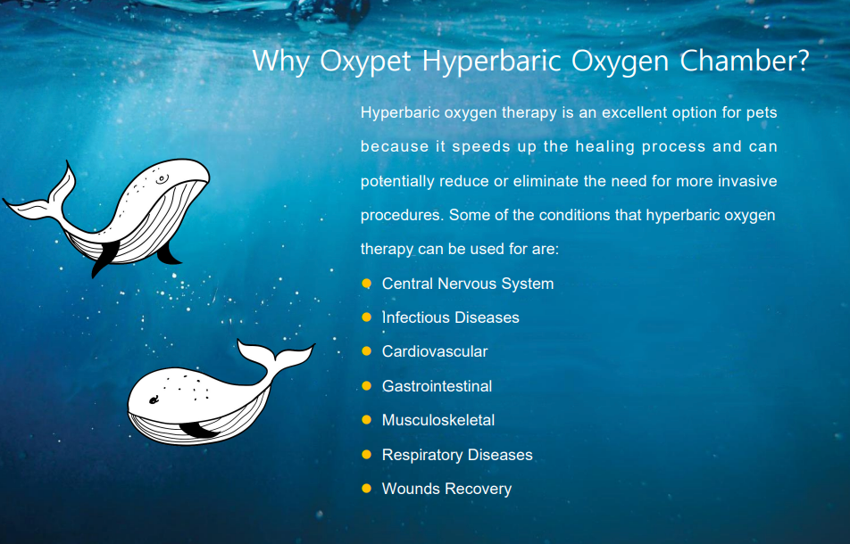 Hyperbaric Oxygen Chamber
