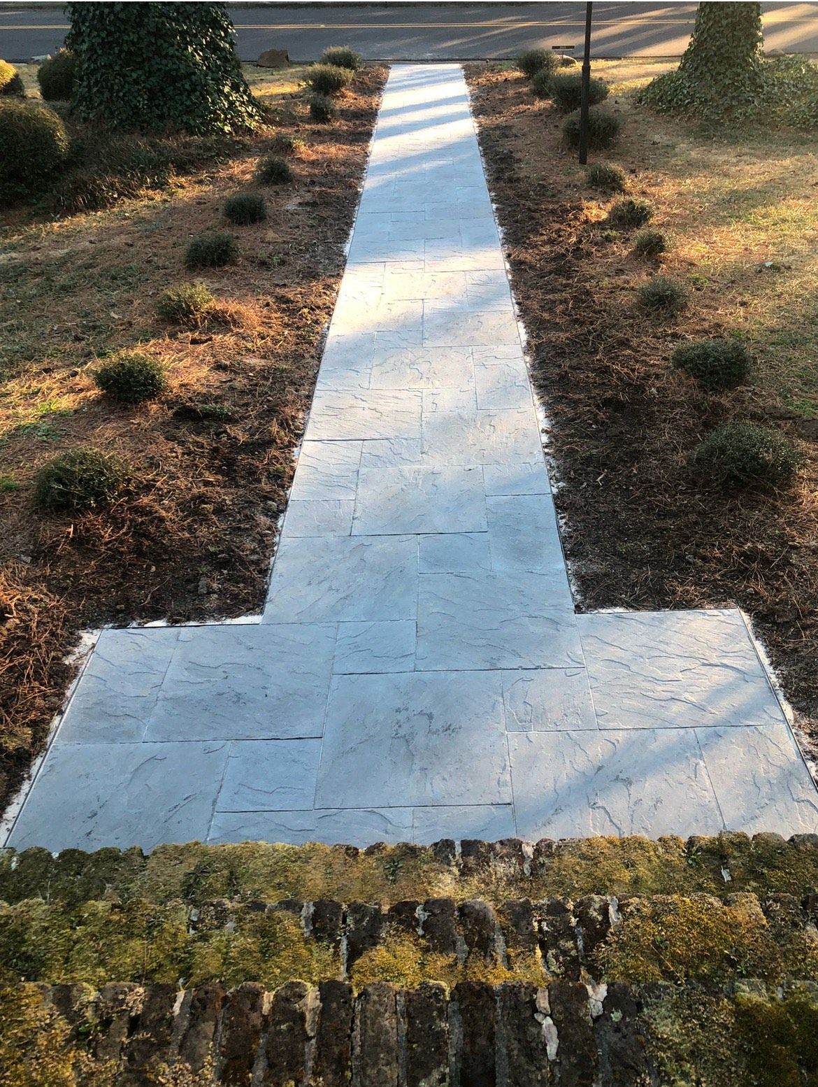 A concrete walkway going through a lush green garden.