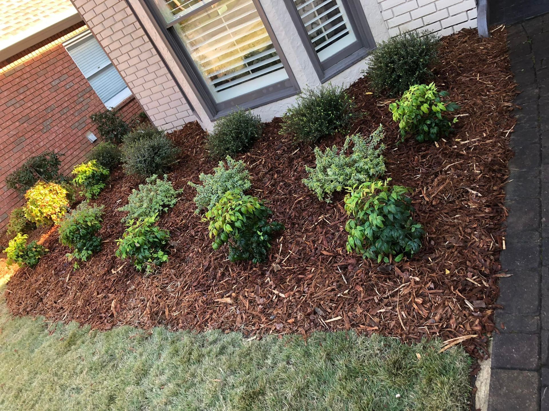 A lawn with a lot of mulch and shrubs in front of a house.