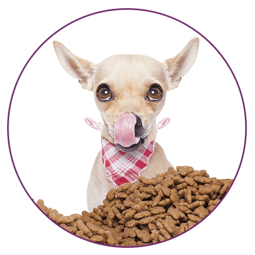 Distribuidora mayorista de alimentos para mascotas