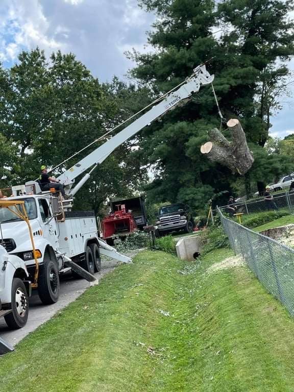 Property Clearing
