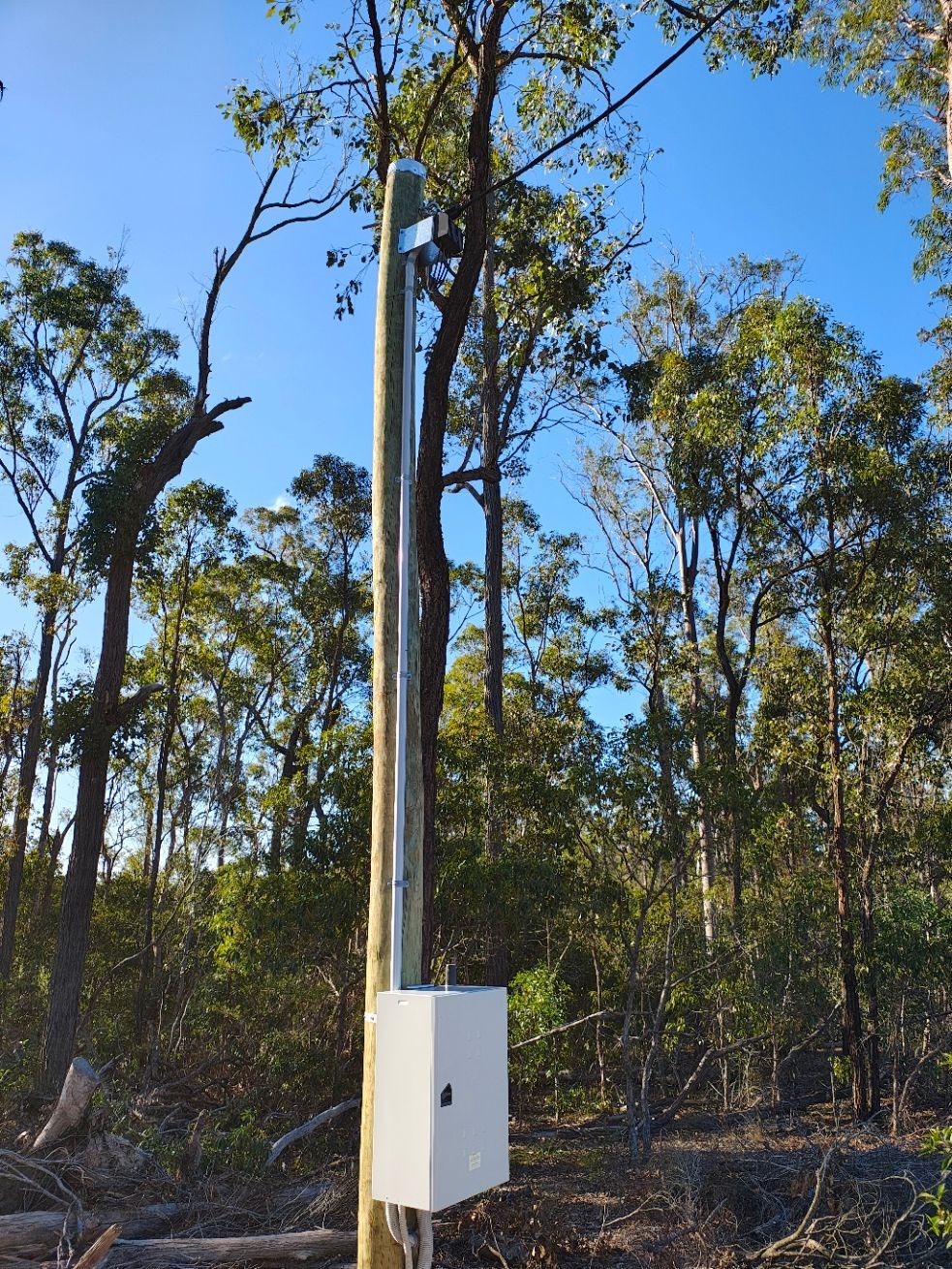 Interior of a Storage Shed With a Door and Shelves Filled With Boxes and Items — NTR Electrical In Toogoom, QLD