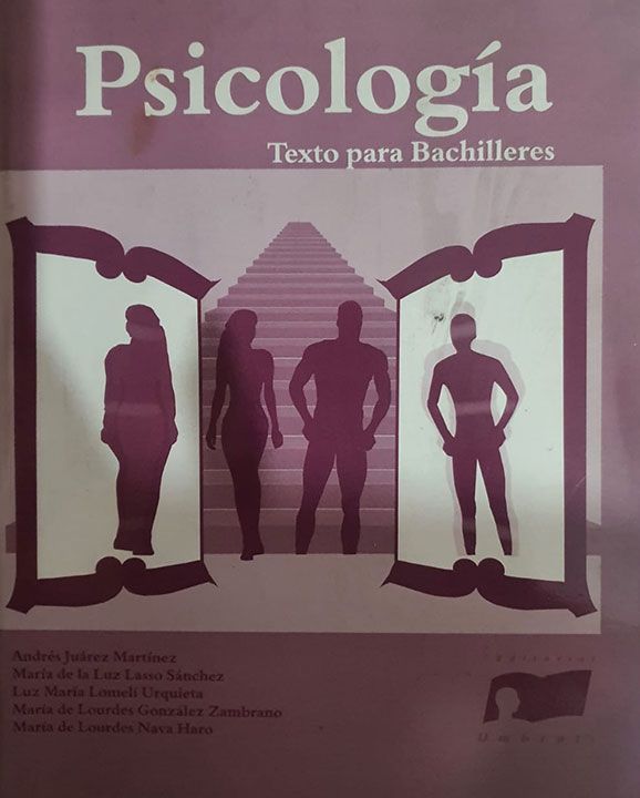 PSICÓLOGA MARIA DE LOURDES NAVA HARO