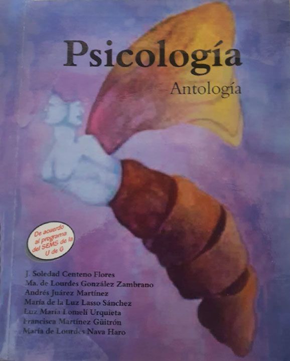 PSICÓLOGA MARIA DE LOURDES NAVA HARO