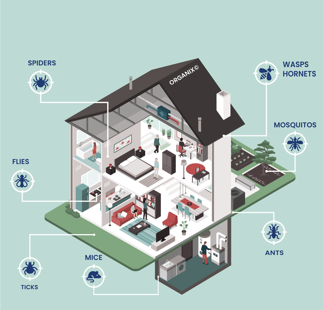 Isometric house cutaway with labeled pests: spiders, flies, ticks, mice, ants, wasps, hornets, and mosquitos.