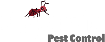 Red ant above the text 