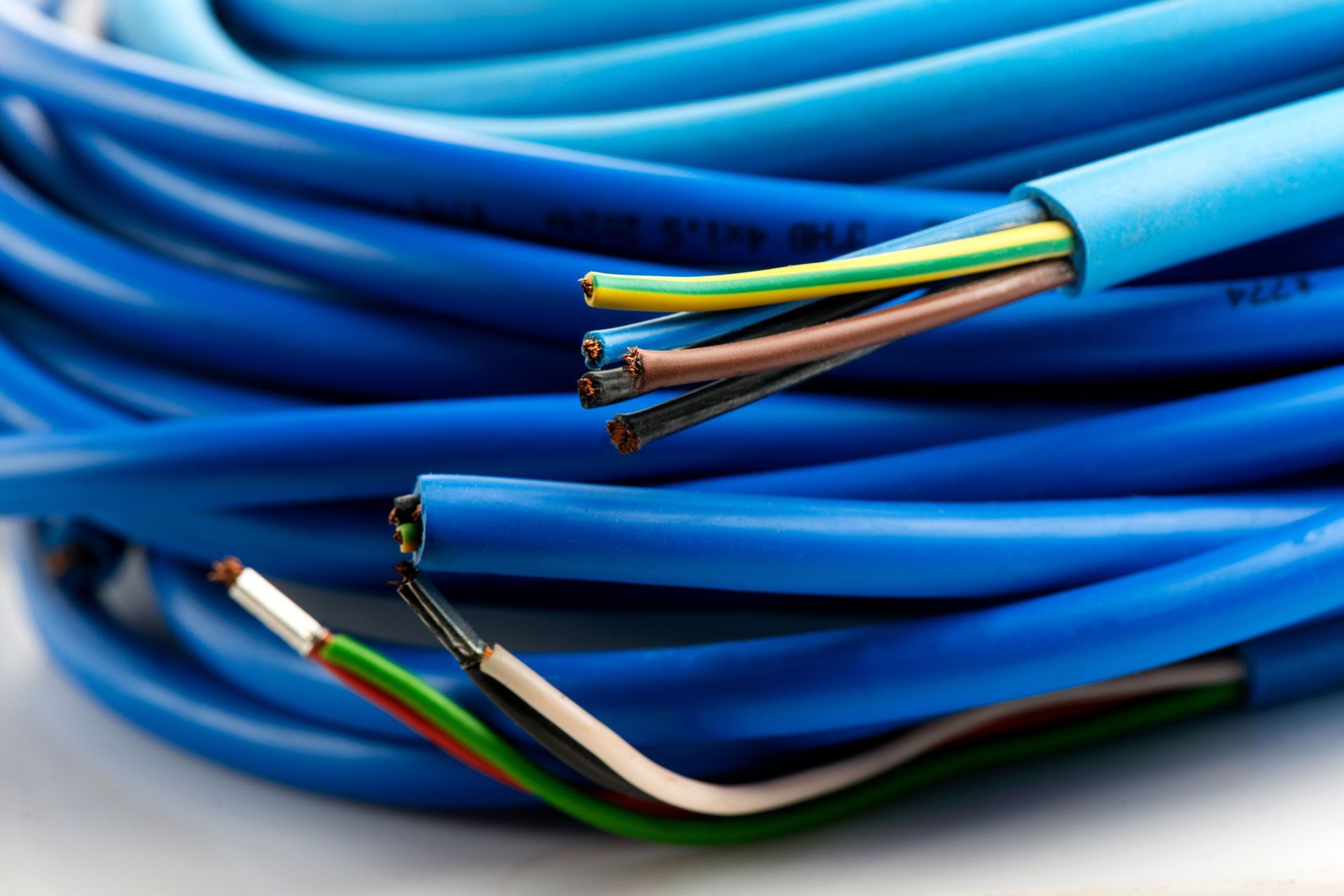 Coiled blue Ethernet cables with exposed multicolored wire ends