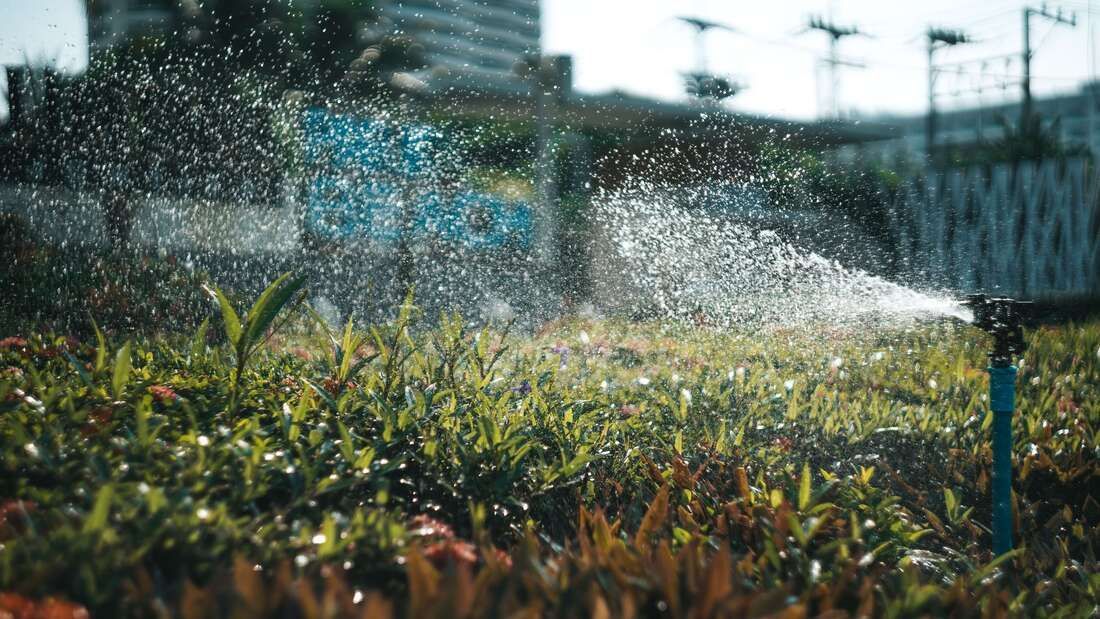 Sprinkler watering grass