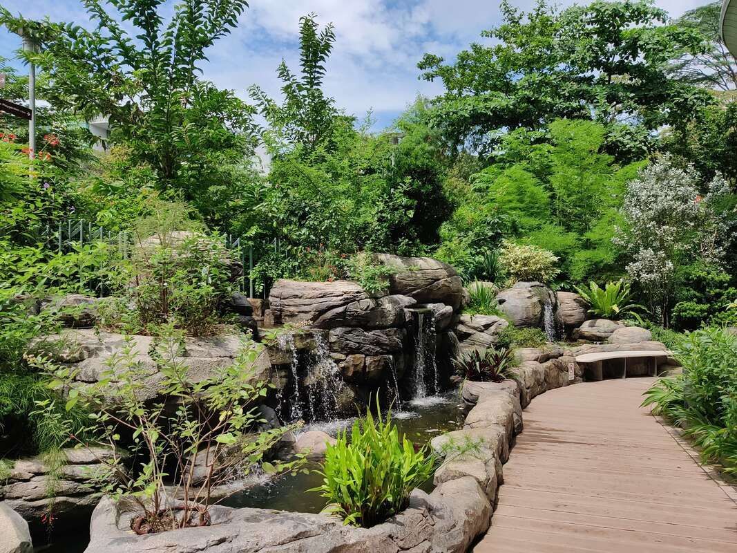 Waterfall pond in backyard surrounded by trees and flowers