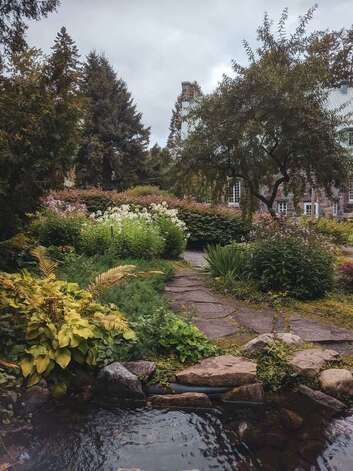 Small pond in backyard