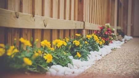 Decorative flower landscape in fenced yard