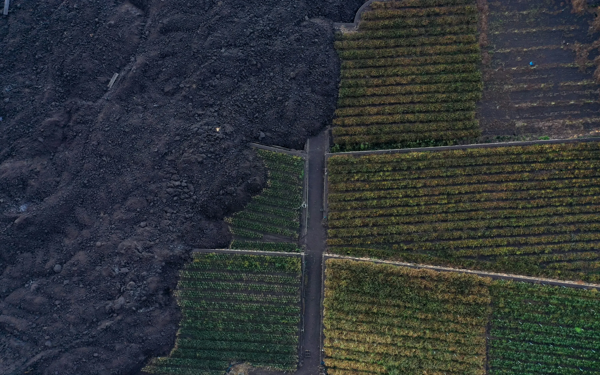 Dark lava flow meets green cultivated fields, divided by a road.
