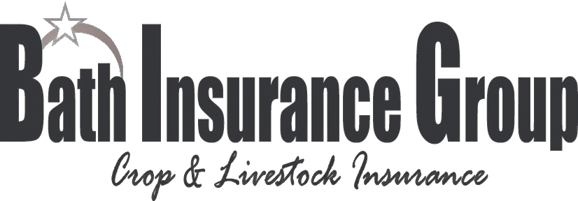 Bath Insurance Group