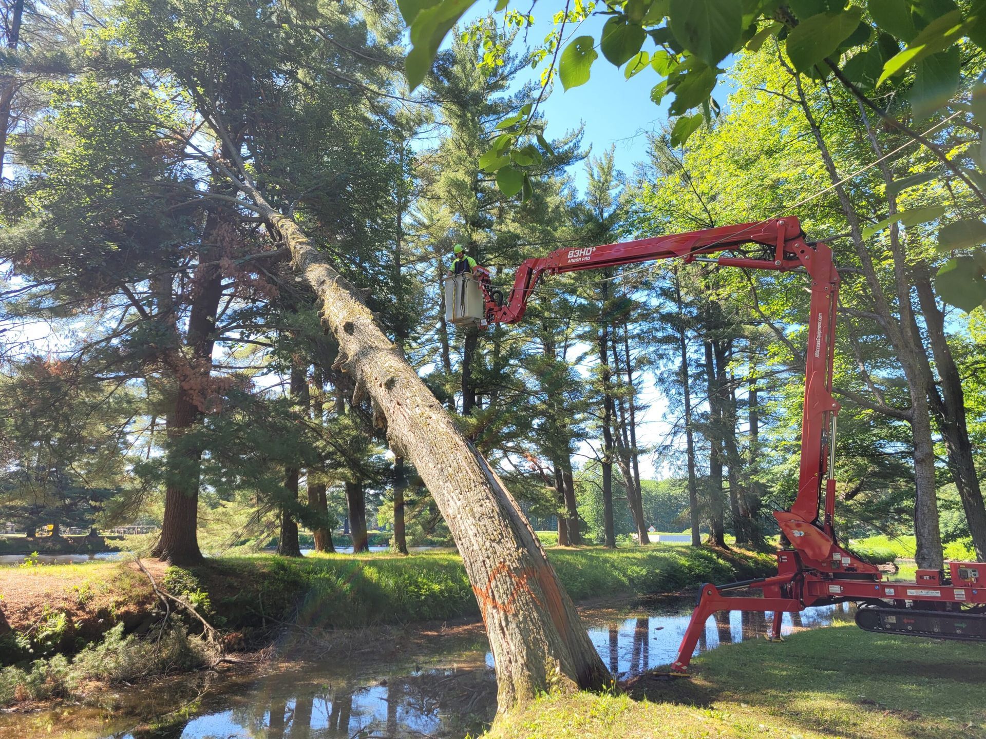 A red crane is cutting a tree in a park next to a river.