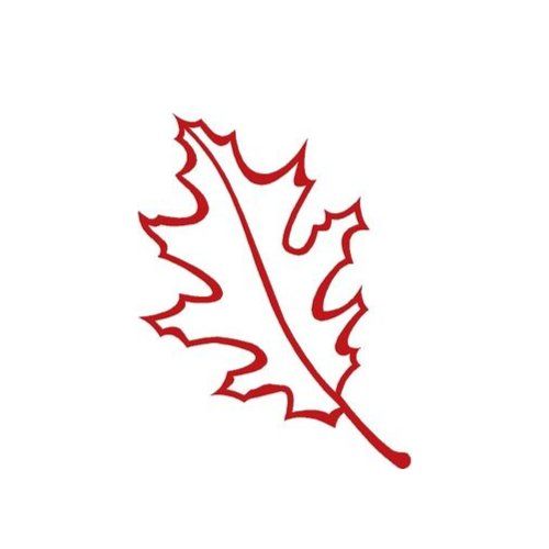 A red leaf with a long stem on a white background.