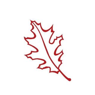 A red leaf with a long stem on a white background.