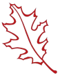 A red leaf with a long stem on a white background.