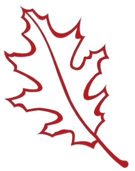 A red leaf with a long stem on a white background.