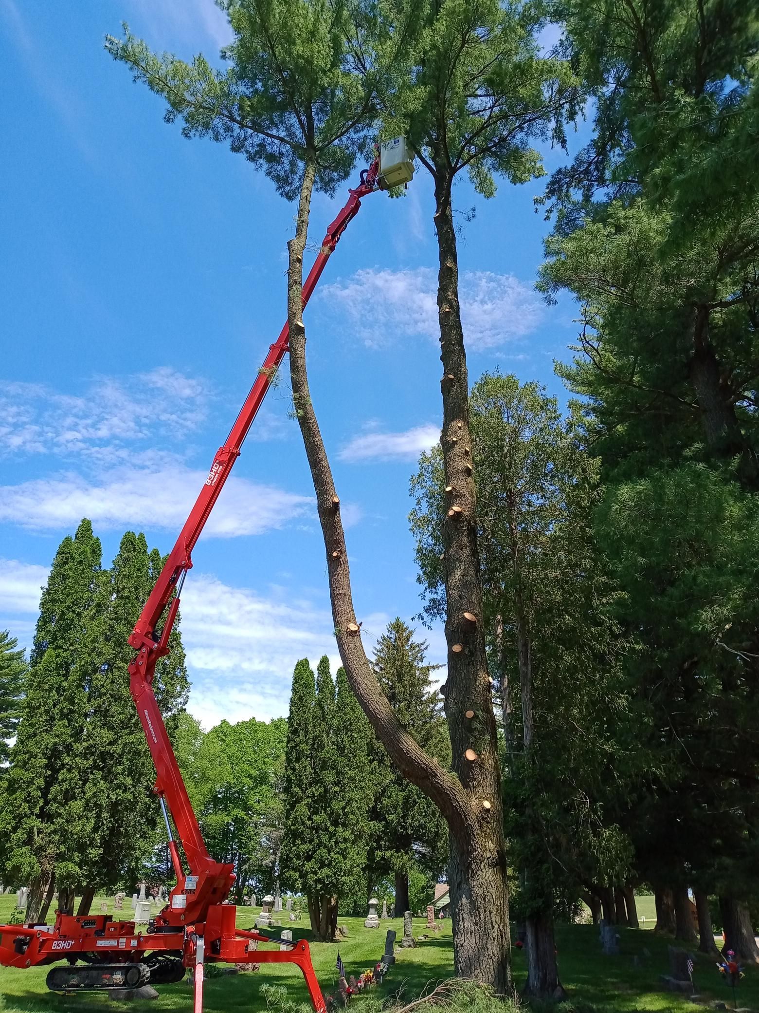 A red crane is cutting down a tree in a park