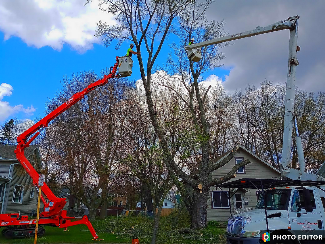 A man is cutting a tree with a crane in front of a house.