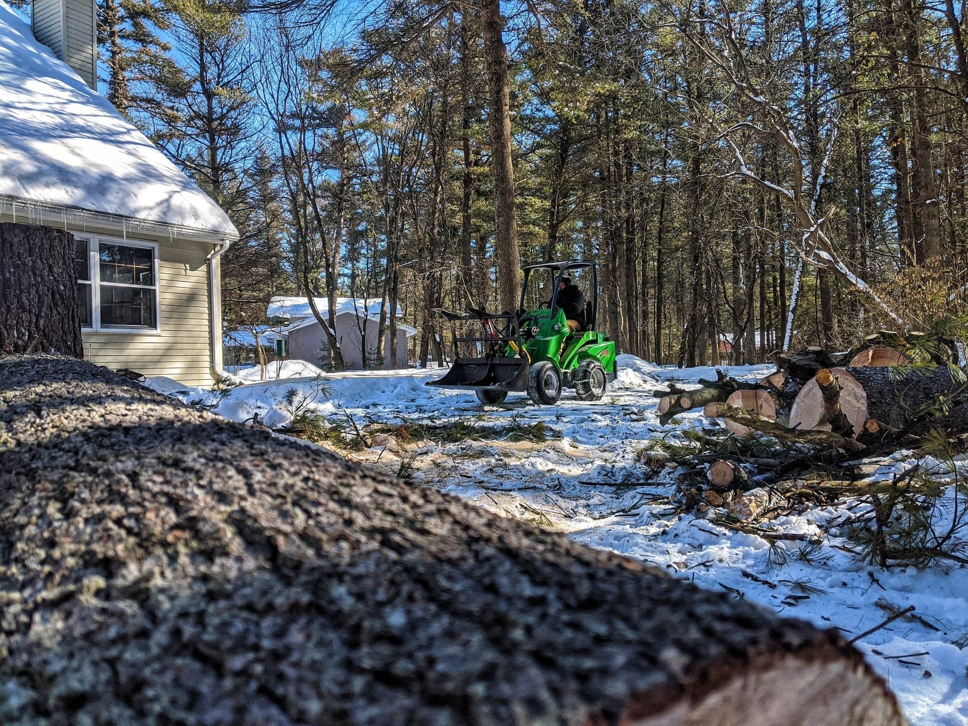 A green tractor is cutting a tree in the snow in front of a house.