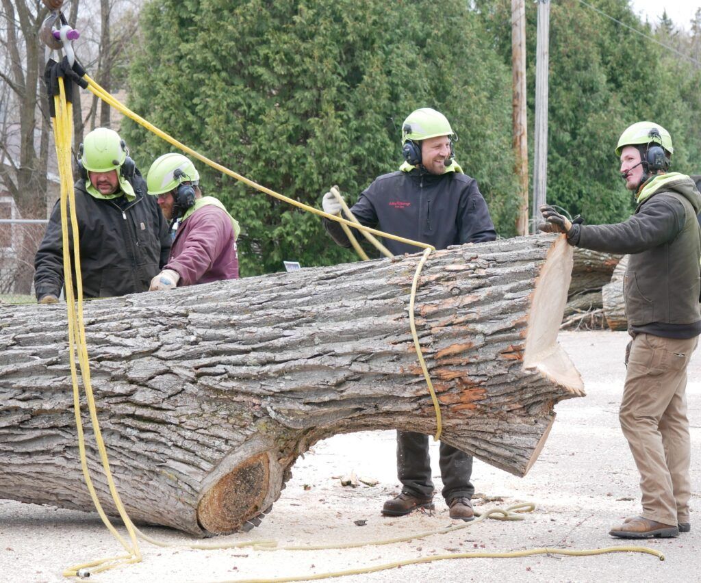 A group of men are working on a large log.