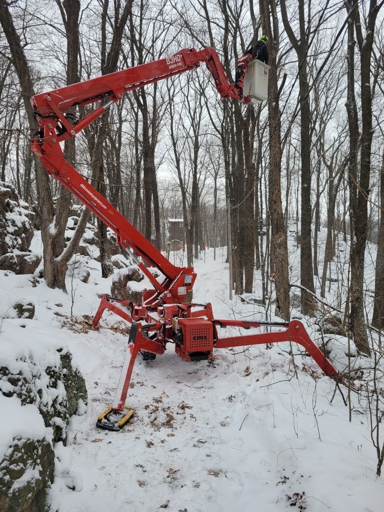 A red crane is sitting in the middle of a snowy forest.