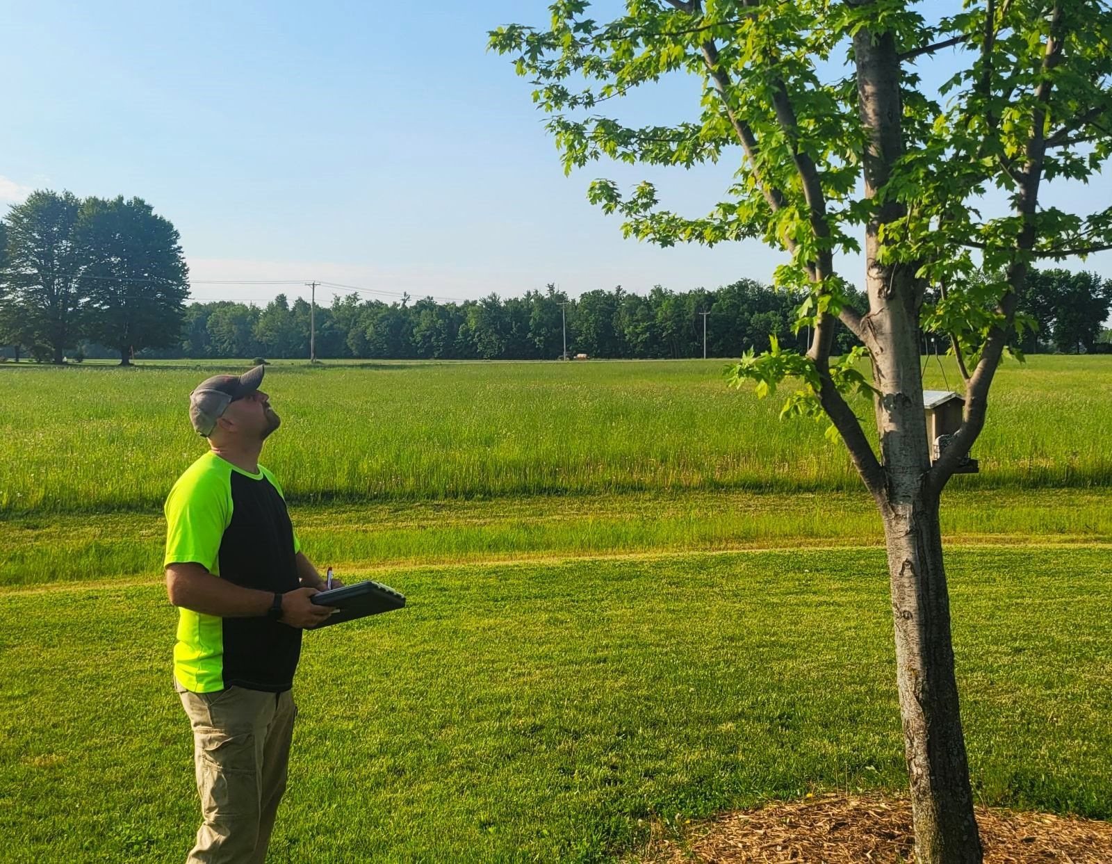 A man is standing in a field holding a remote control and looking at a tree.