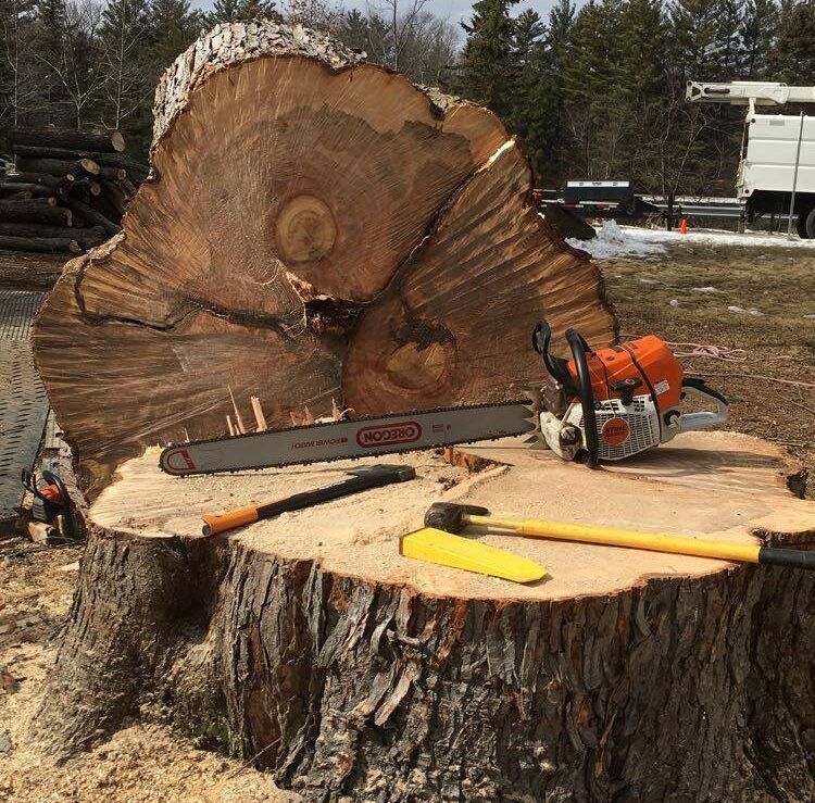 A chainsaw is sitting on top of a large tree stump.