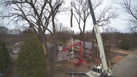 A large crane is lifting a tree in a yard.