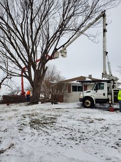 A tree cutting truck is parked in front of a house in the snow.