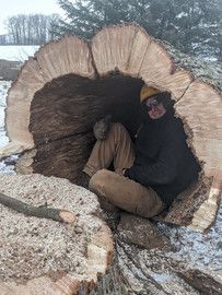 A man is sitting in a hole in a tree stump.