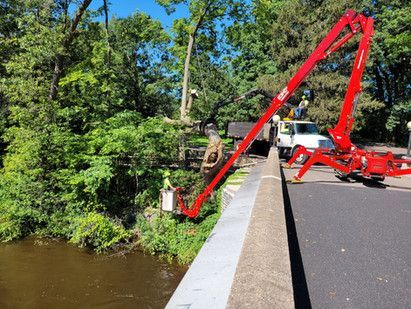 A red crane is being used to remove a tree from a bridge.
