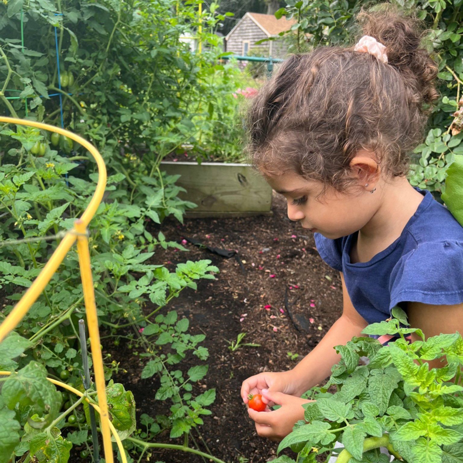 Young child gardening