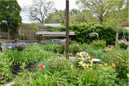 A garden filled with lots of plants and flowers.