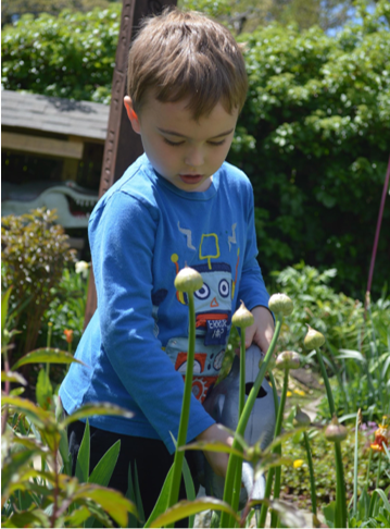 A Montessori boy watering flowers