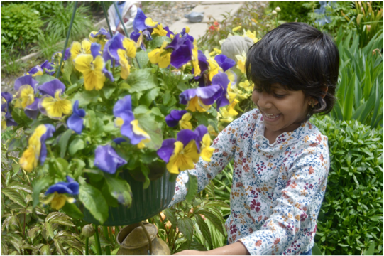 A Montessori child is holding a basket of purple and yellow flowers