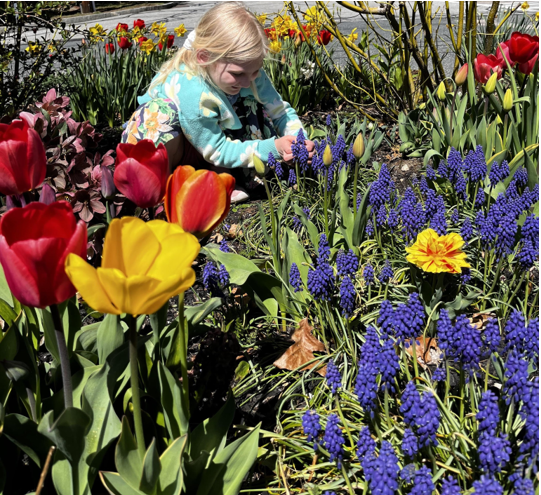 A Montessori child is picking flowers in a garden