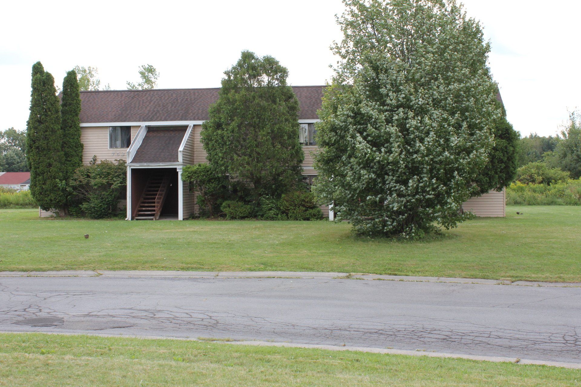 Maple Manor Street View with Large Tree