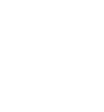 Solo Logo in Footer - linked to home page