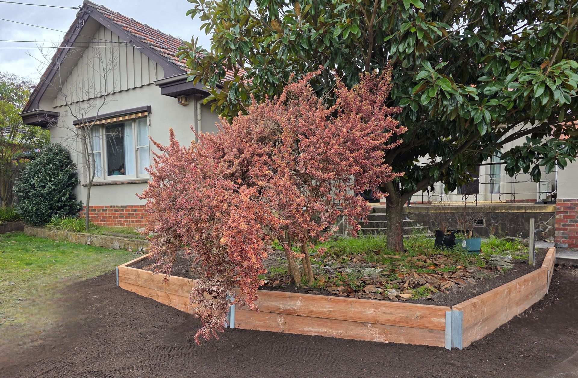 Front Yard Garden Bed With a Pink Flowering Shrub — All Over Pool Removals in Upwey, VIC