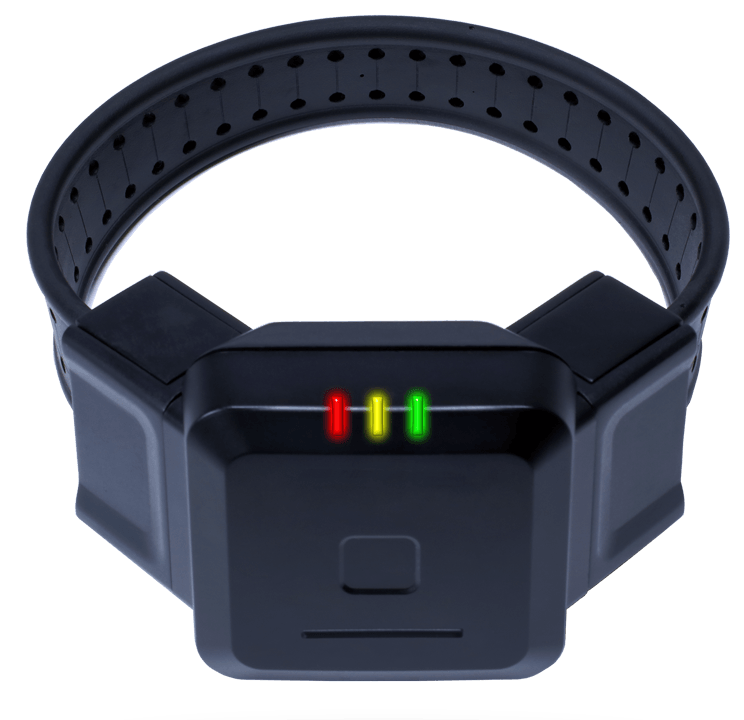 Wearing A Monitoring Device — Moorhead, MN — Alternative Corrections
