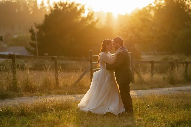 Couple kissing in field at sunset; woman in wedding dress, man in suit. Golden sunlight.
