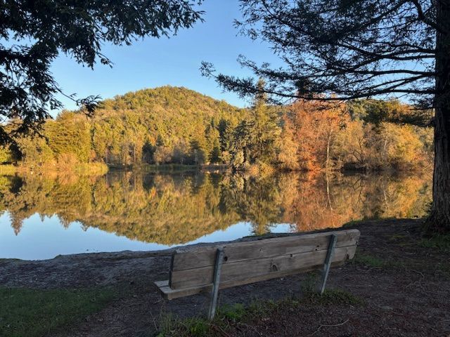Person pouring amber liquid from a bottle into a glass of ice. Several empty glasses are on a lace-covered table.