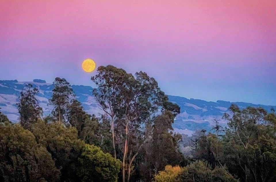 Full moon rising over silhouetted trees and rolling hills against a colorful sunset sky.