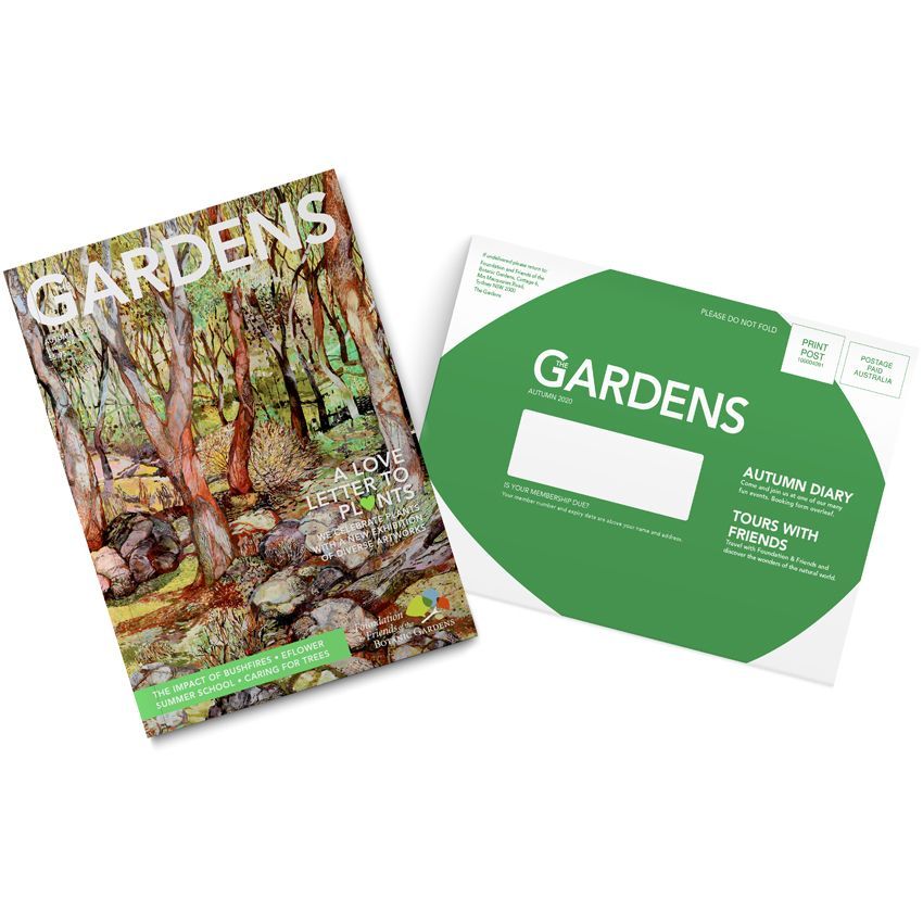 A magazine and a postcard are sitting next to each other on a table.