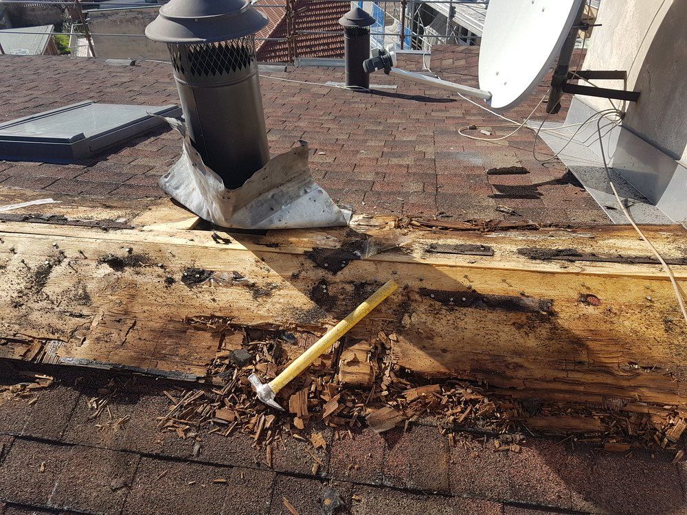 costruzione coperture