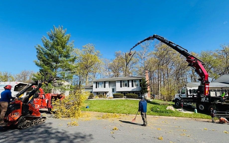 Tree removal in progress: a large red crane lifts branches over a house, workers on site with equipment.