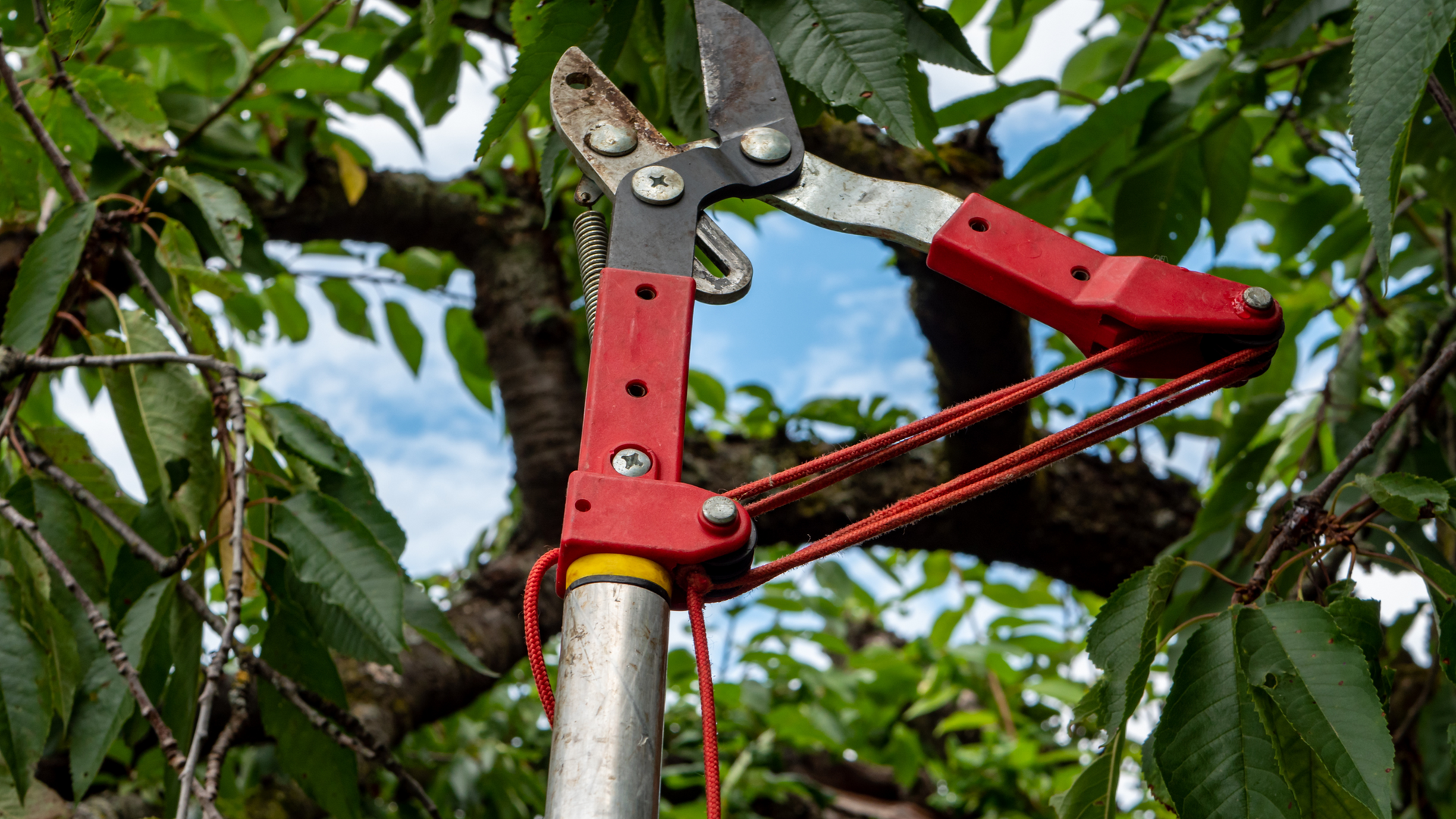 A green and yellow tree trimming truck is parked in front of a house.