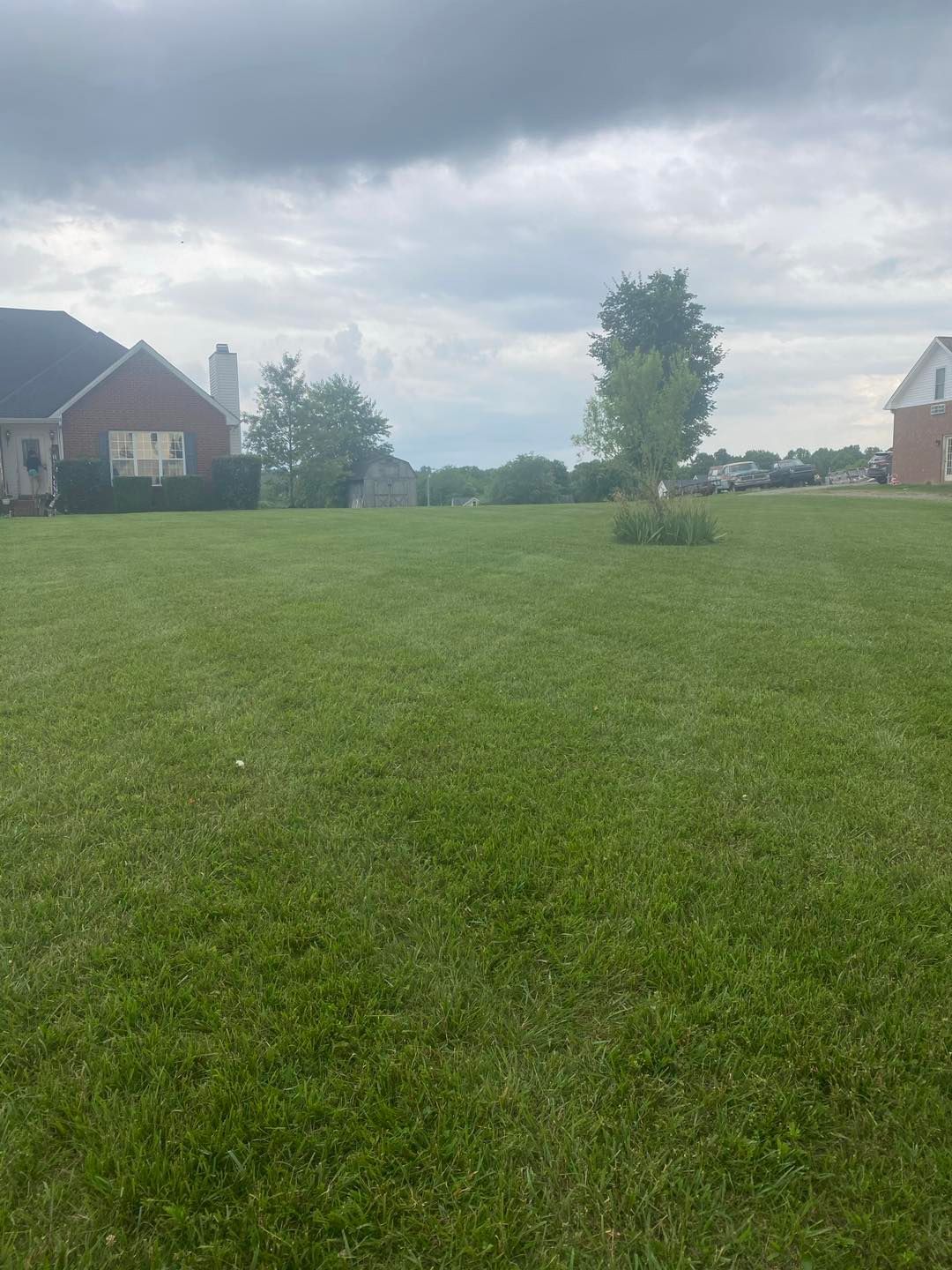 A lush green field with houses in the background and a cloudy sky.